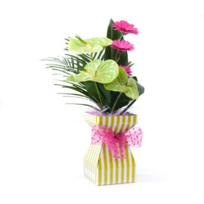 cardboard vase with liner, floral box